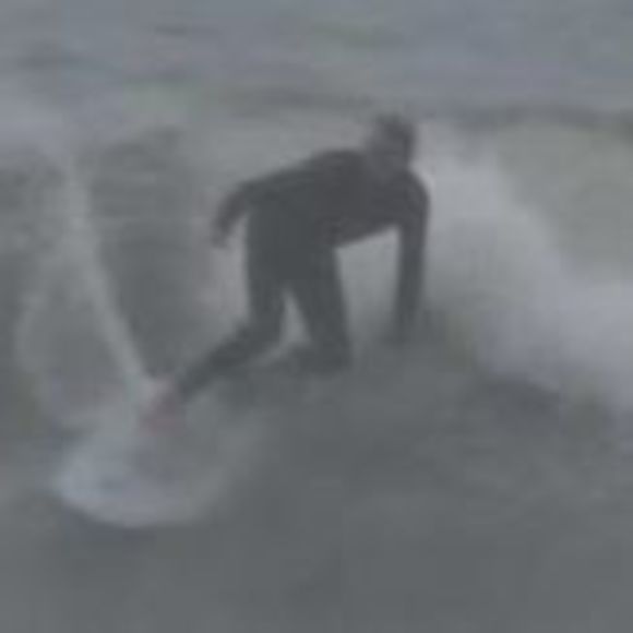 Meet your Posher, Peter - Picture 1 of 1